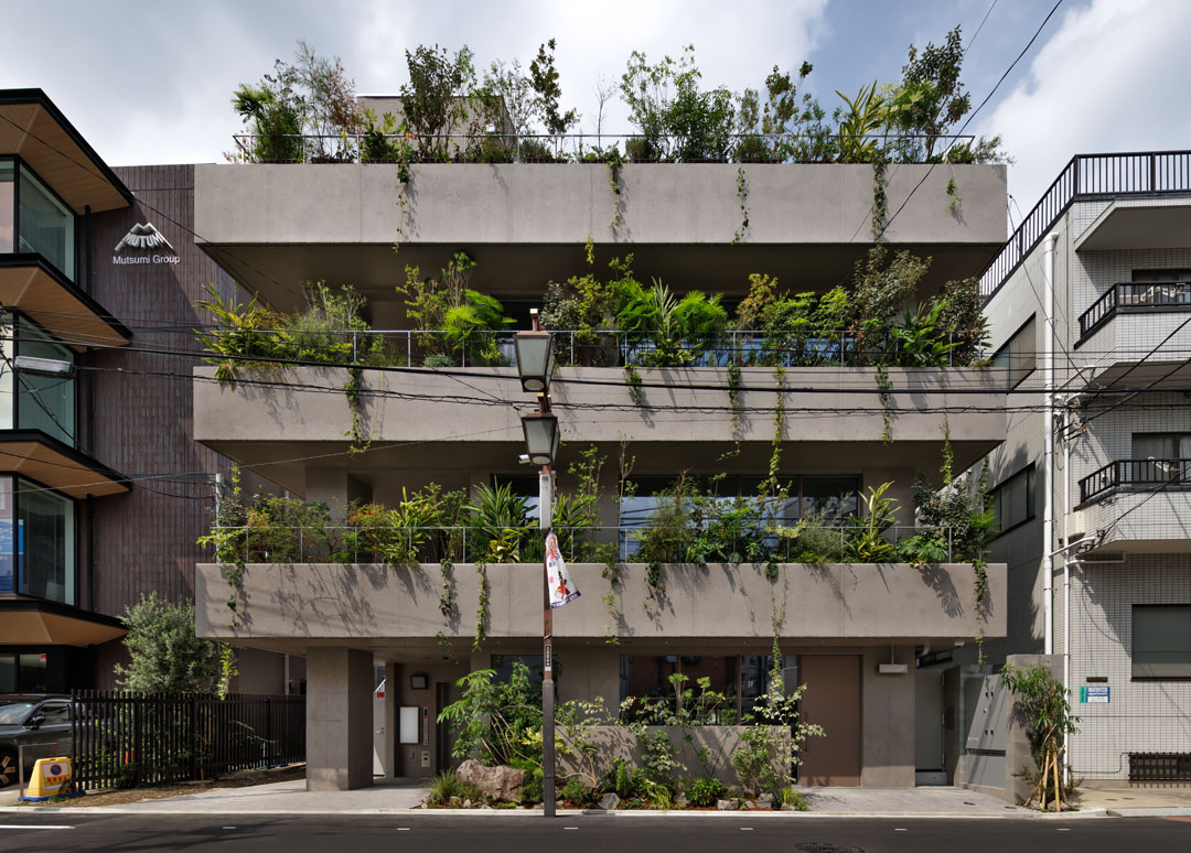 FUTAKOTAMAGAWA SEED 1F / 店舗