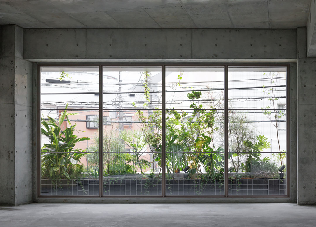 FUTAKOTAMAGAWA SEED 2F / 店舗
